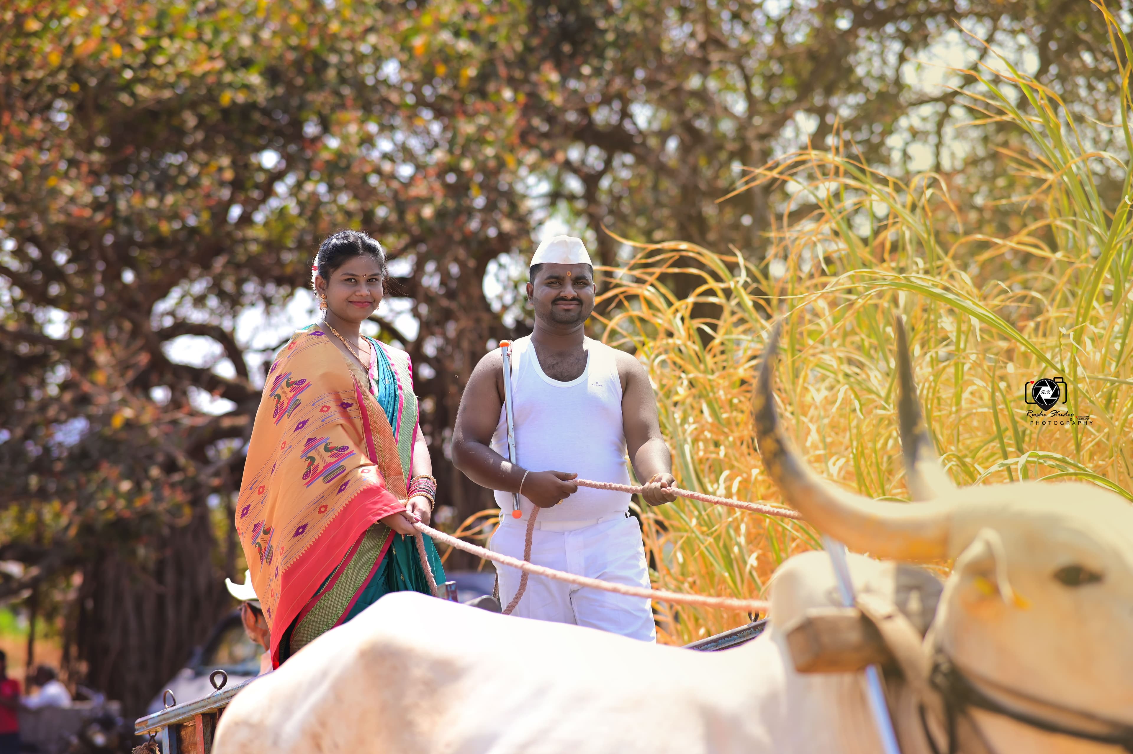 Couple in traditional village outfits with a bullock cart, pre-wedding shoot